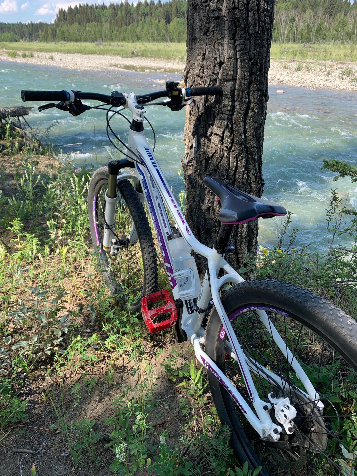 2024 Giant Tempt 2 White and Purple