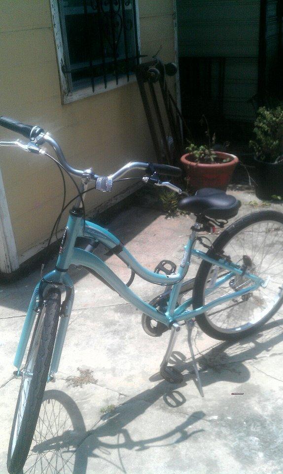 Schwinn Teal