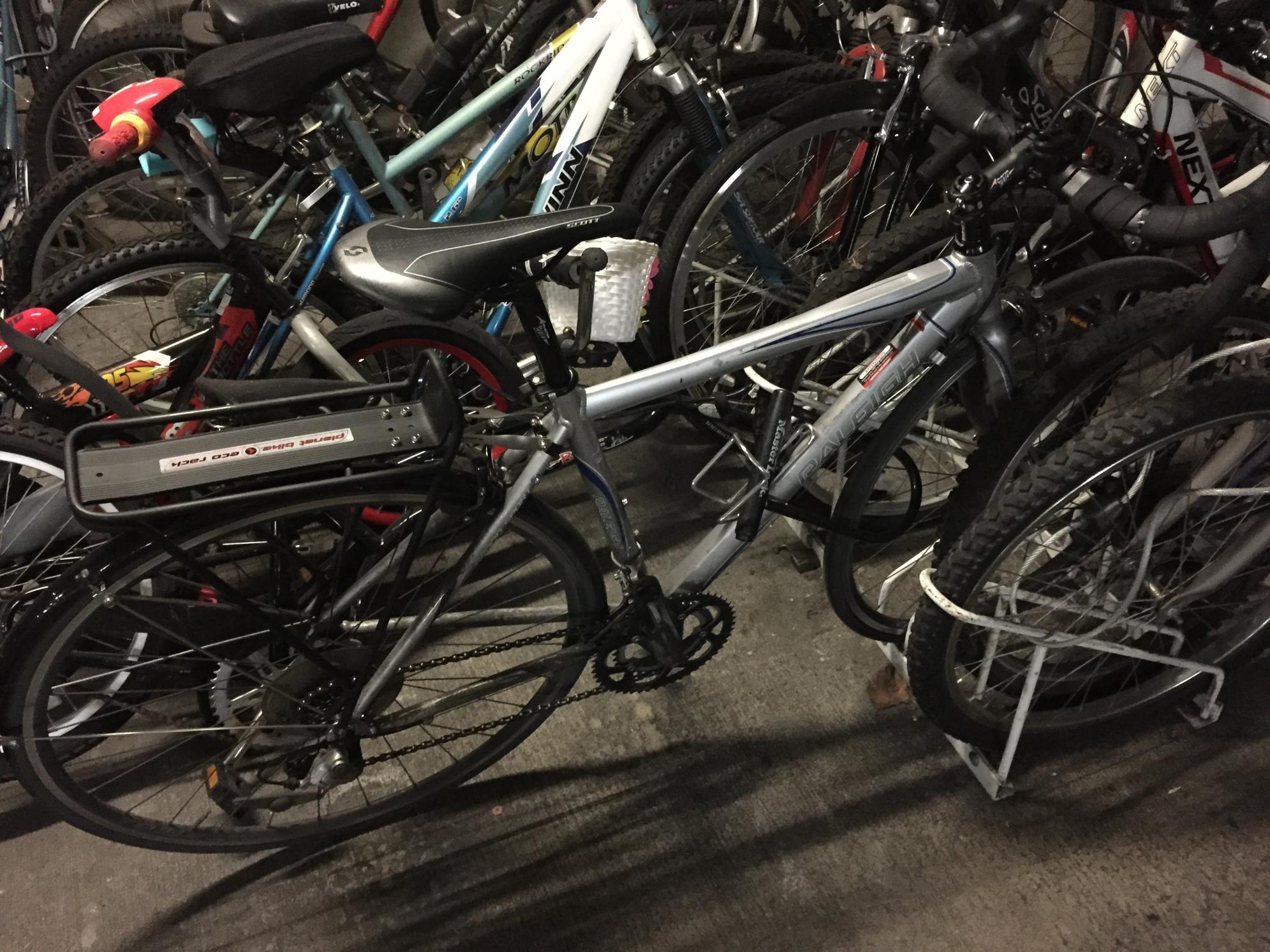 2010 Raleigh Grand Sport Silver or Gray