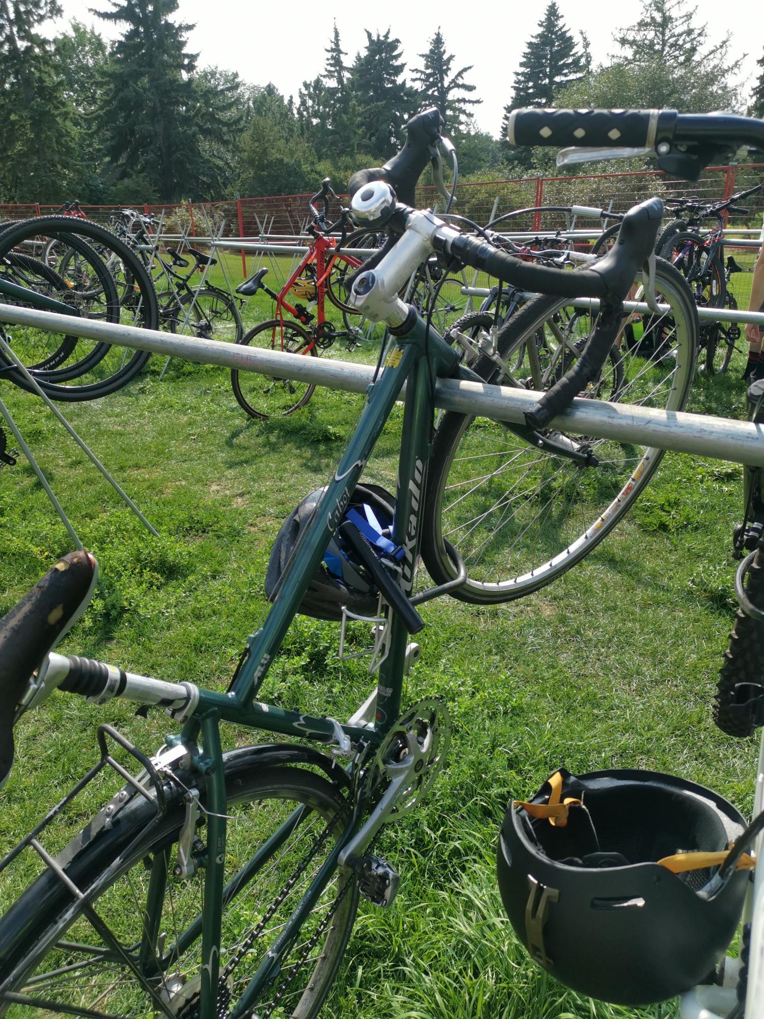 1999 Mikado cabot Teal