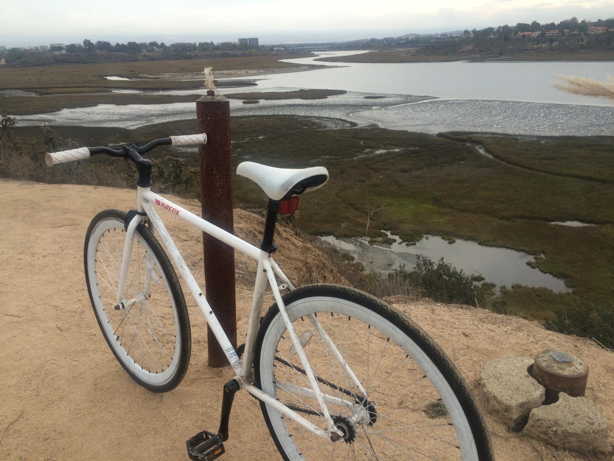 2014 Pure Fix Romeo  White