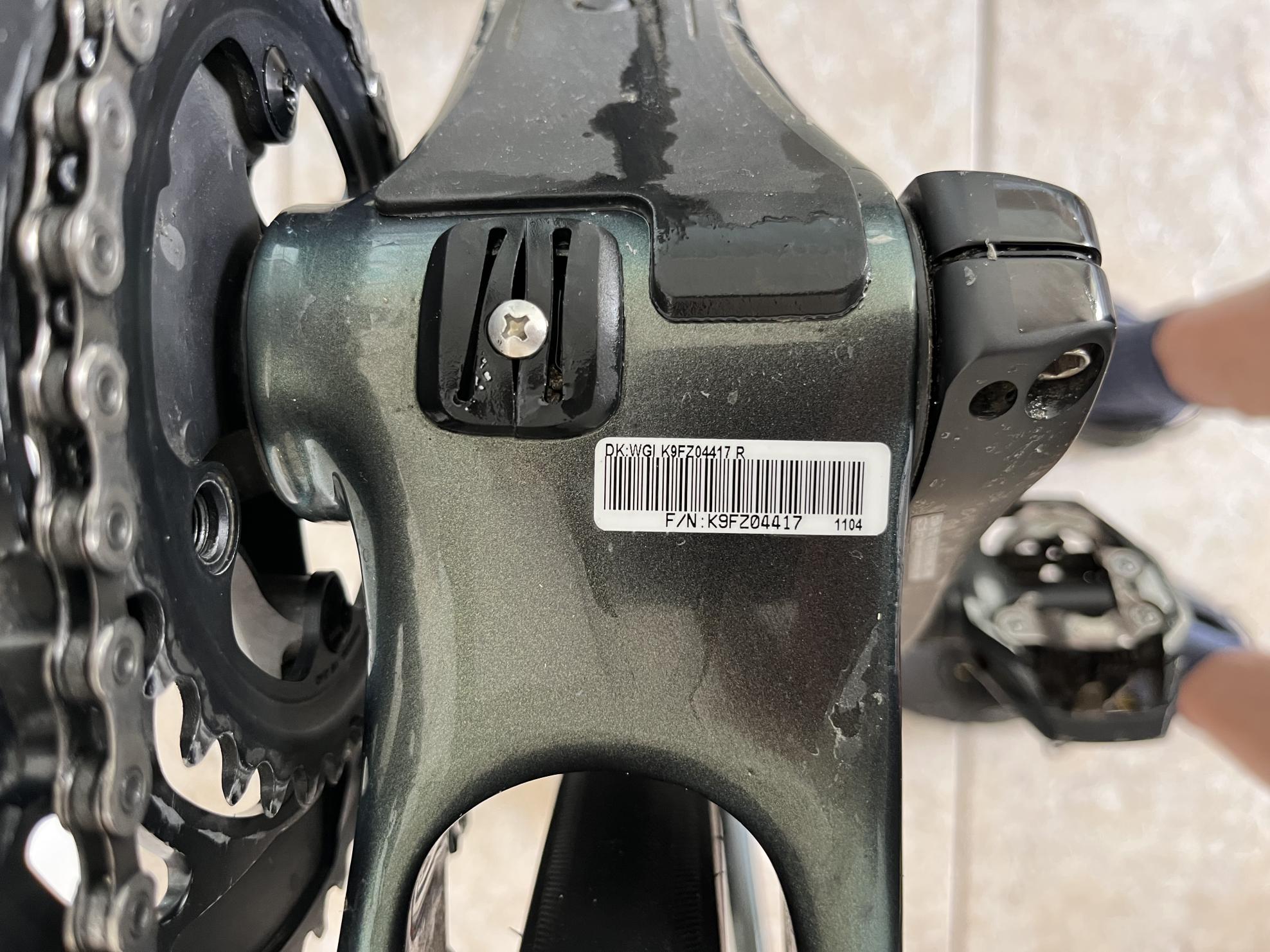 2021 Giant Revolt Green and Black