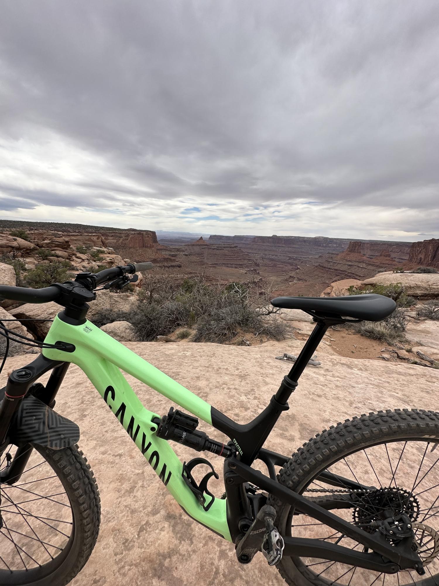 2021 Canyon bicycles Spectral 29 Green and Black