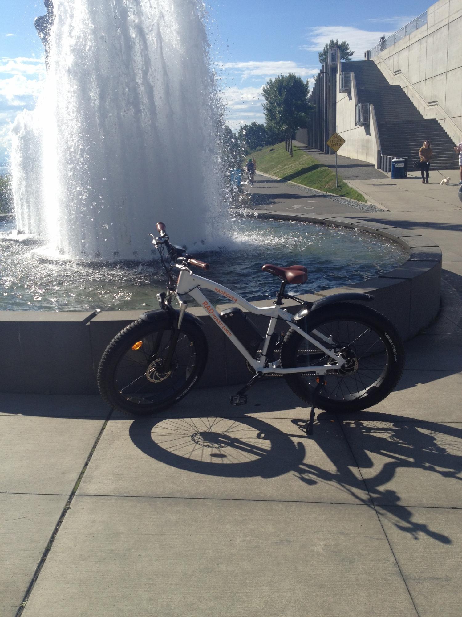 2016 RadPower Bikes Rad Rover (E-fat bike) White