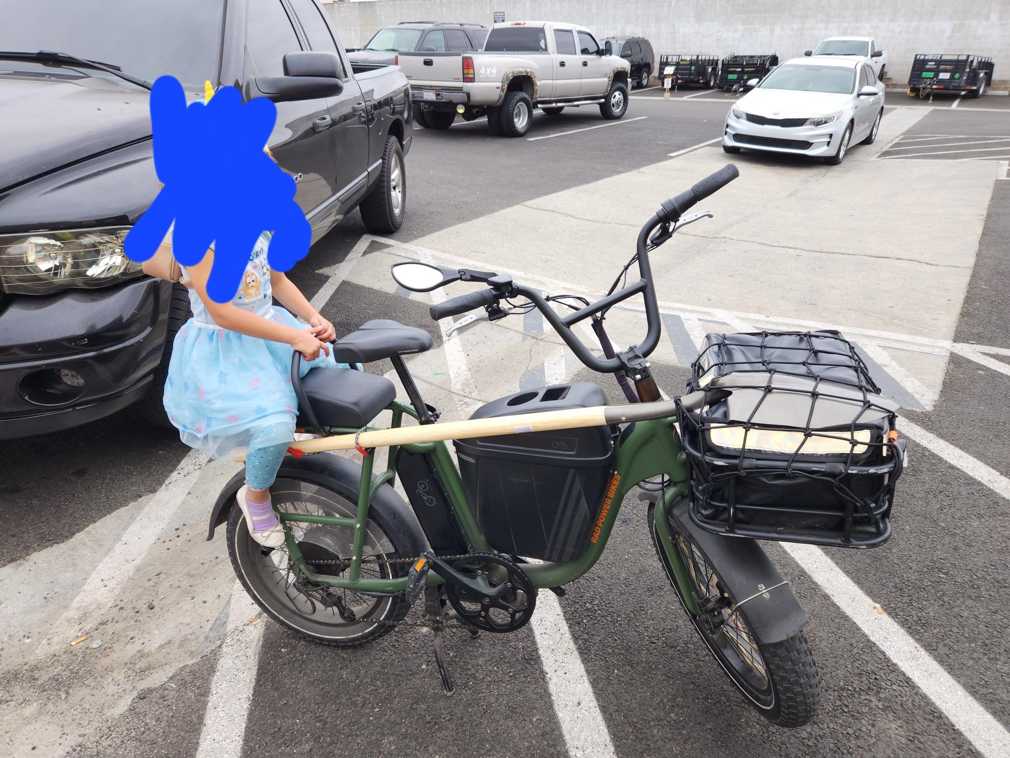 2021 Rad Power Bikes RadRunner Green