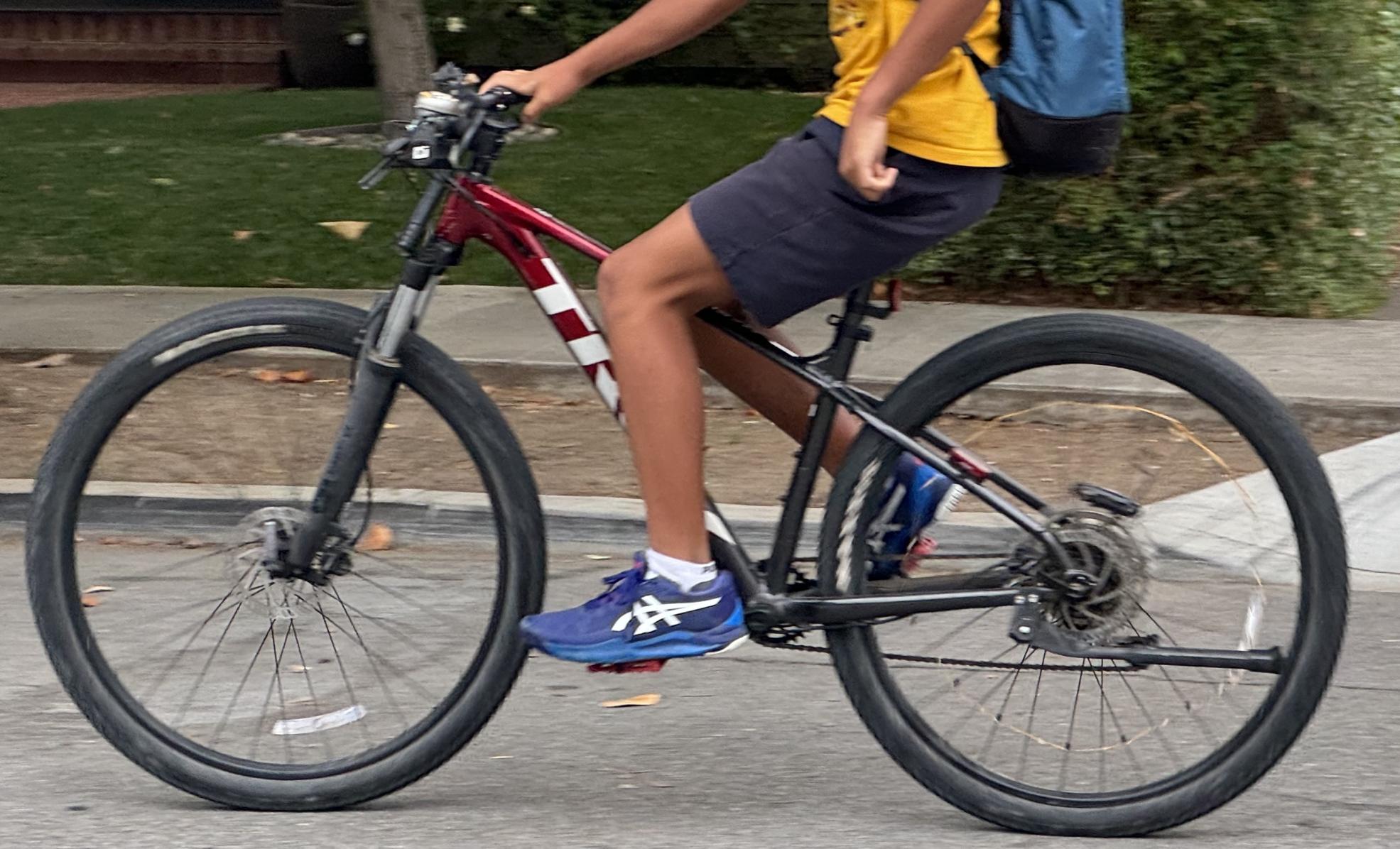 2022 Trek Marlin 6 Red