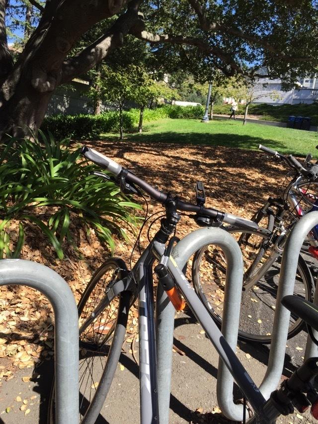 2015 Trek 7.4fx Silver, gray or bare metal