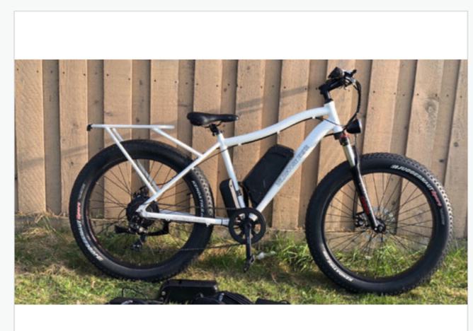 2020 Daymak wild goose White