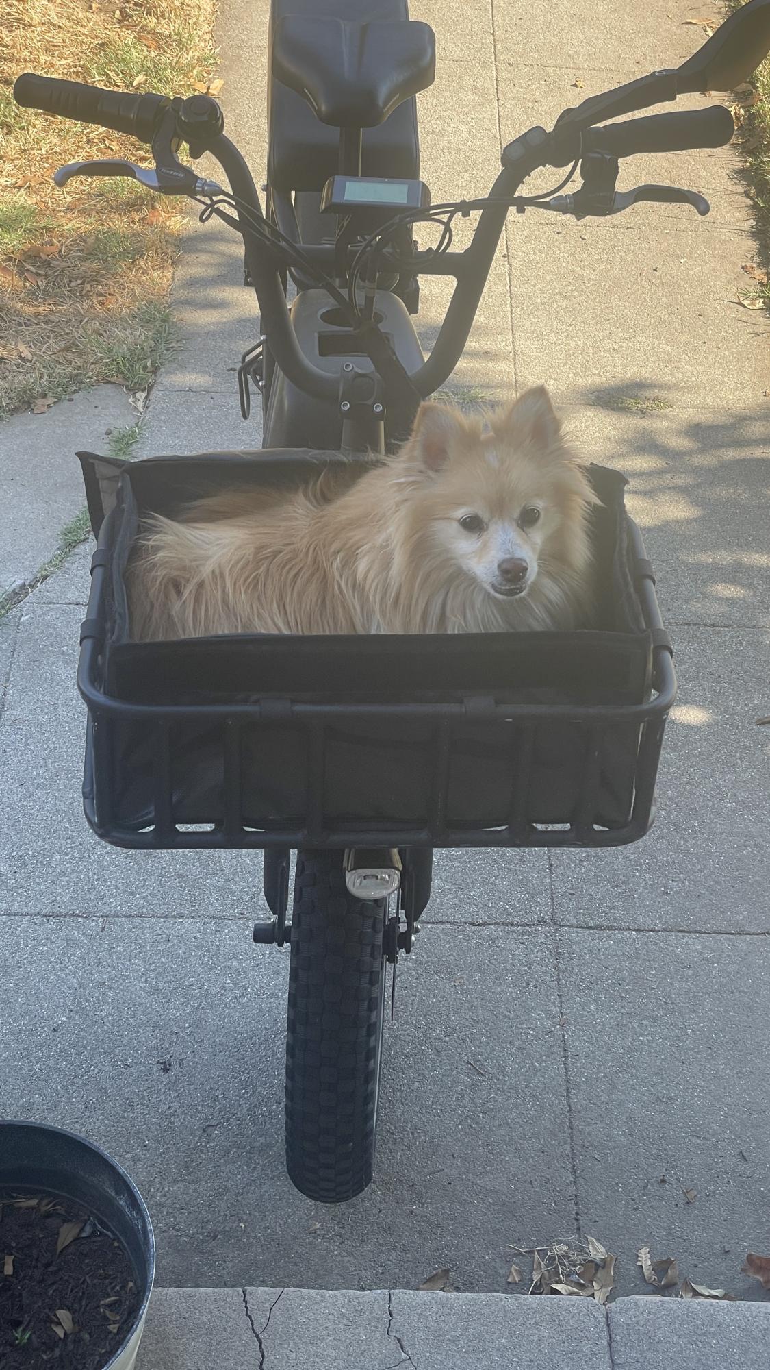 2020 Rad Power Bikes Utility Bike Black