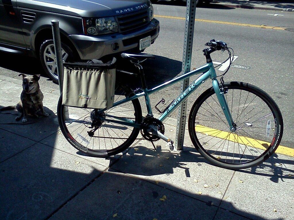 2011 Trek 7.3 FX WSD  Blue