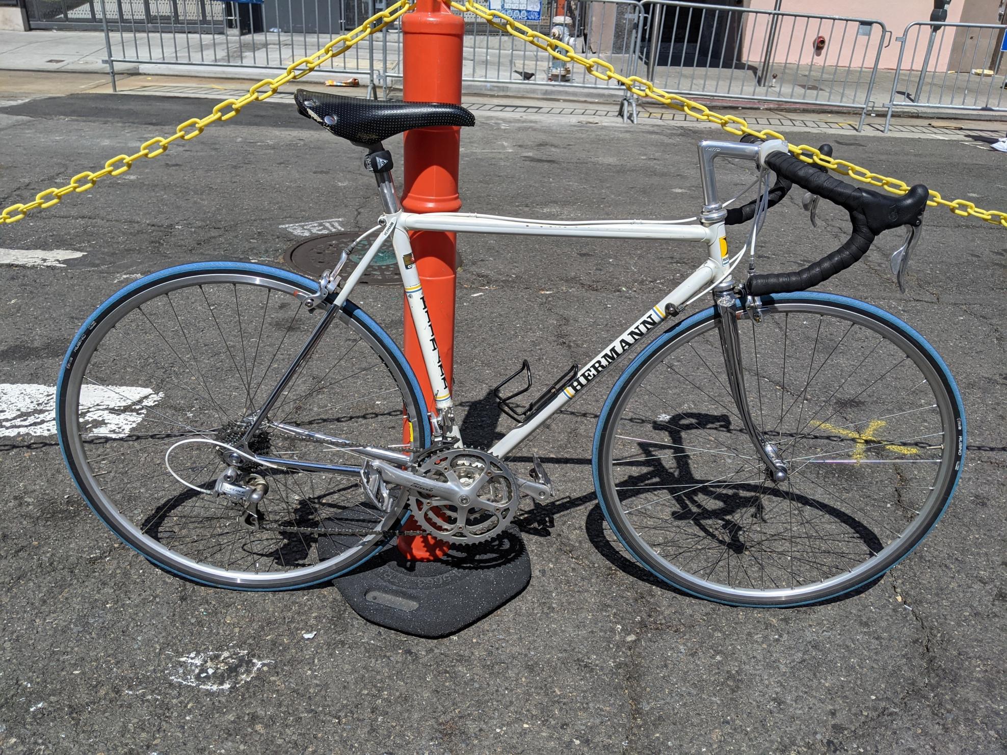 Hermann (colnago) White, Blue, and Yellow or Gold