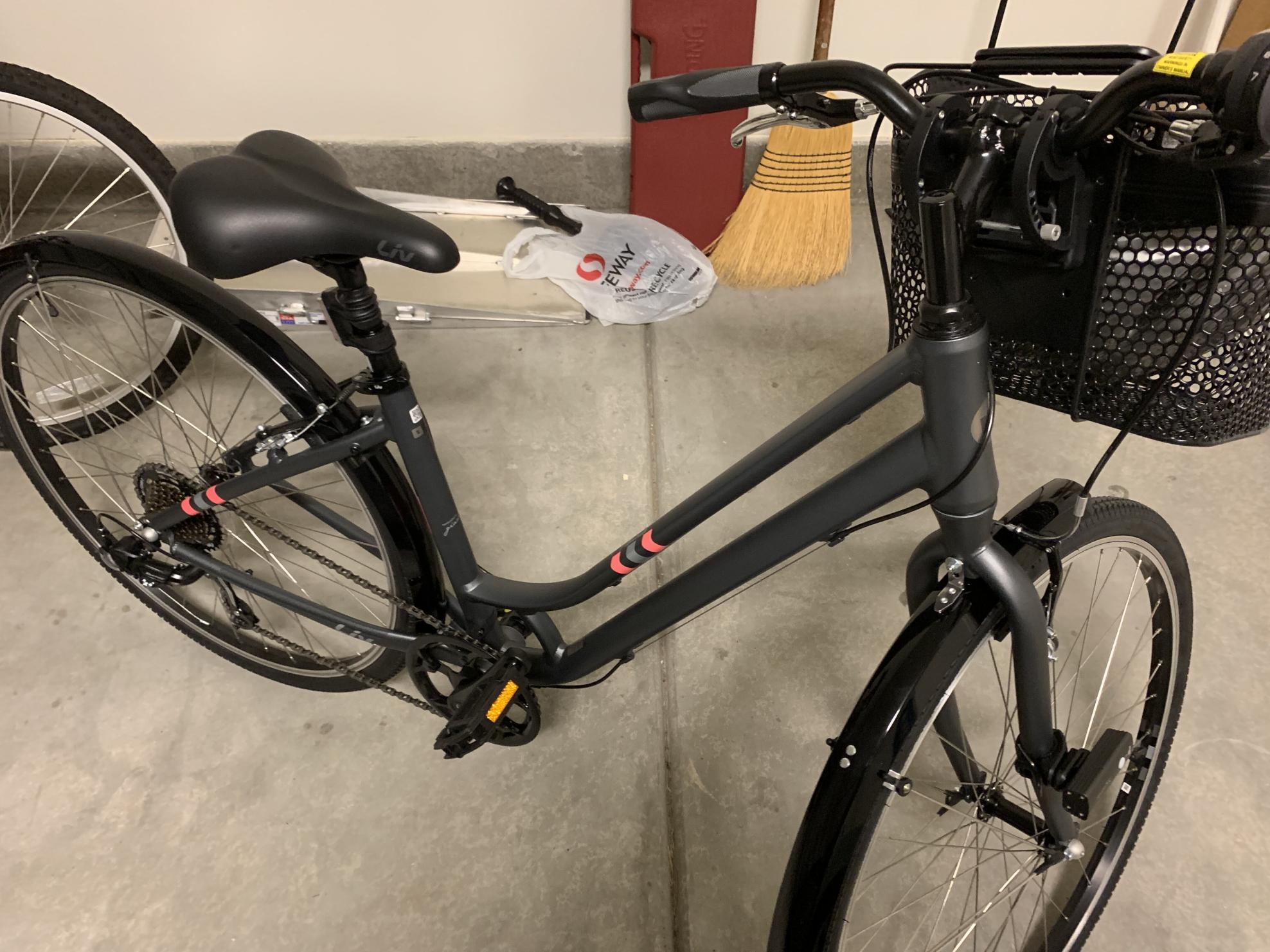 2022 Giant Flourish 4 Silver, gray or bare metal