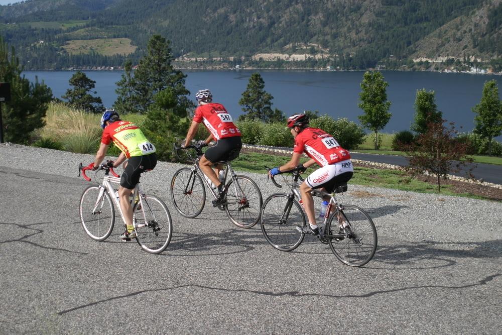 2011 Raleigh Team carbon White