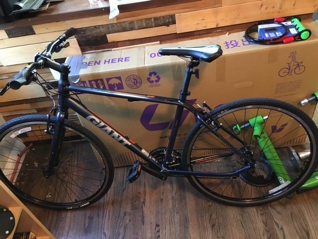 2016 Giant Blue