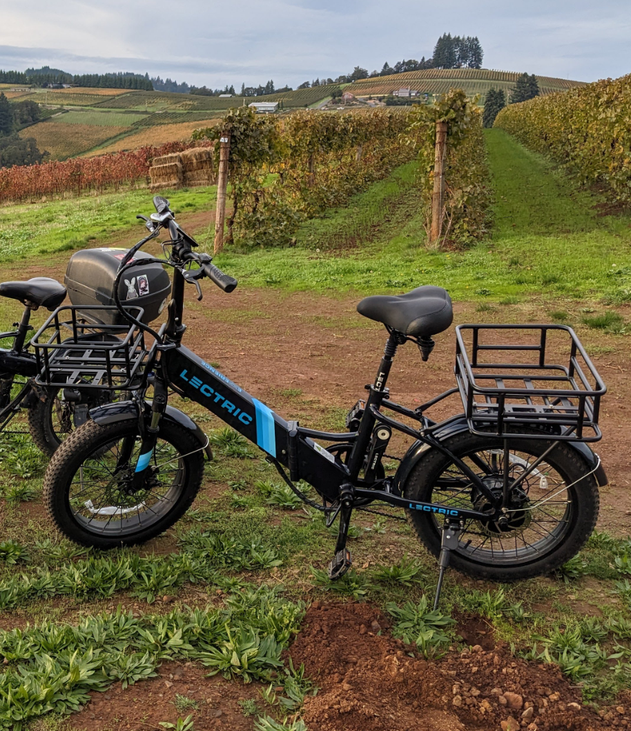 2022 Lectric eBikes XP 2.0 step thru Black