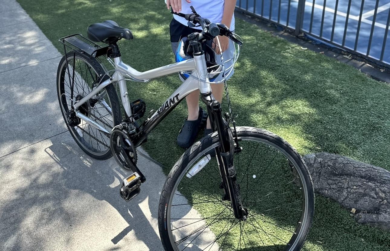 Giant Lil Giant Trike Silver, gray or bare metal