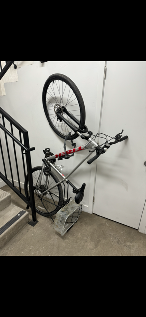 2024 Trek Silver, gray or bare metal