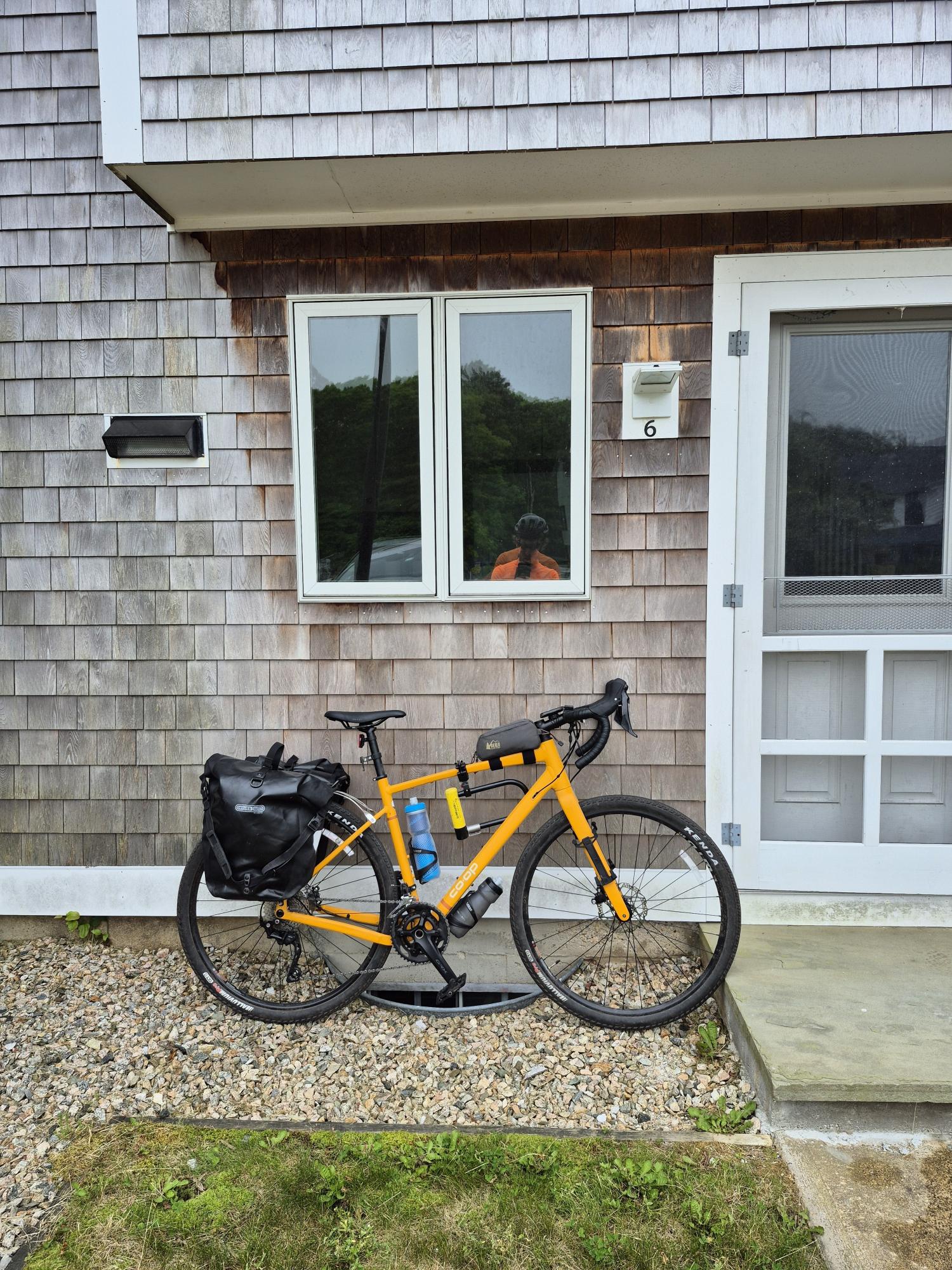 2024 REI Co-op ADV 2.2 (L) Yellow or Gold