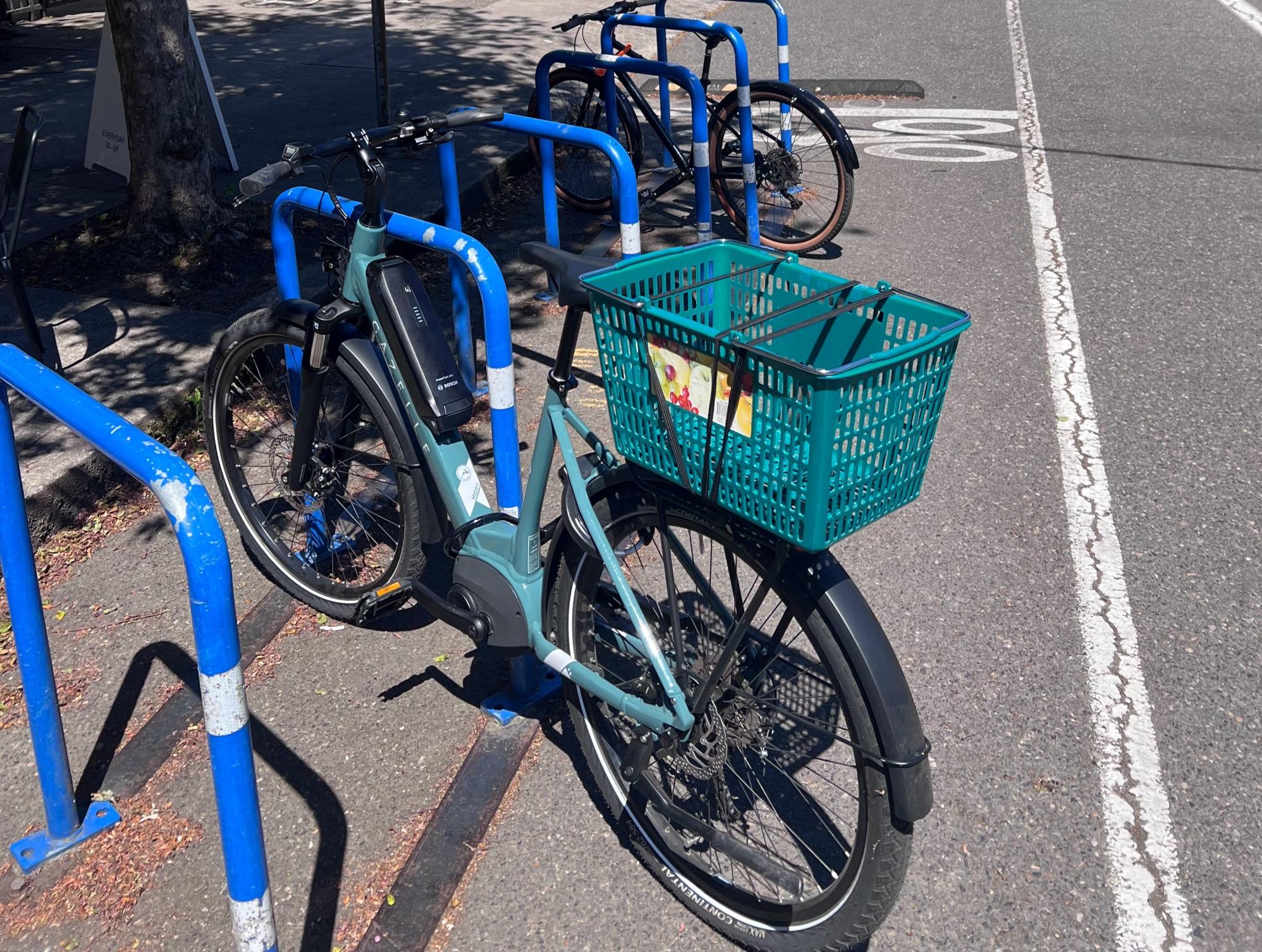 Gazelle Medeo T9 Green