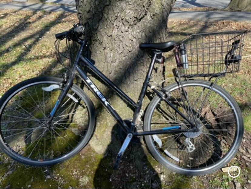 Trek Verve 1 Black and Blue
