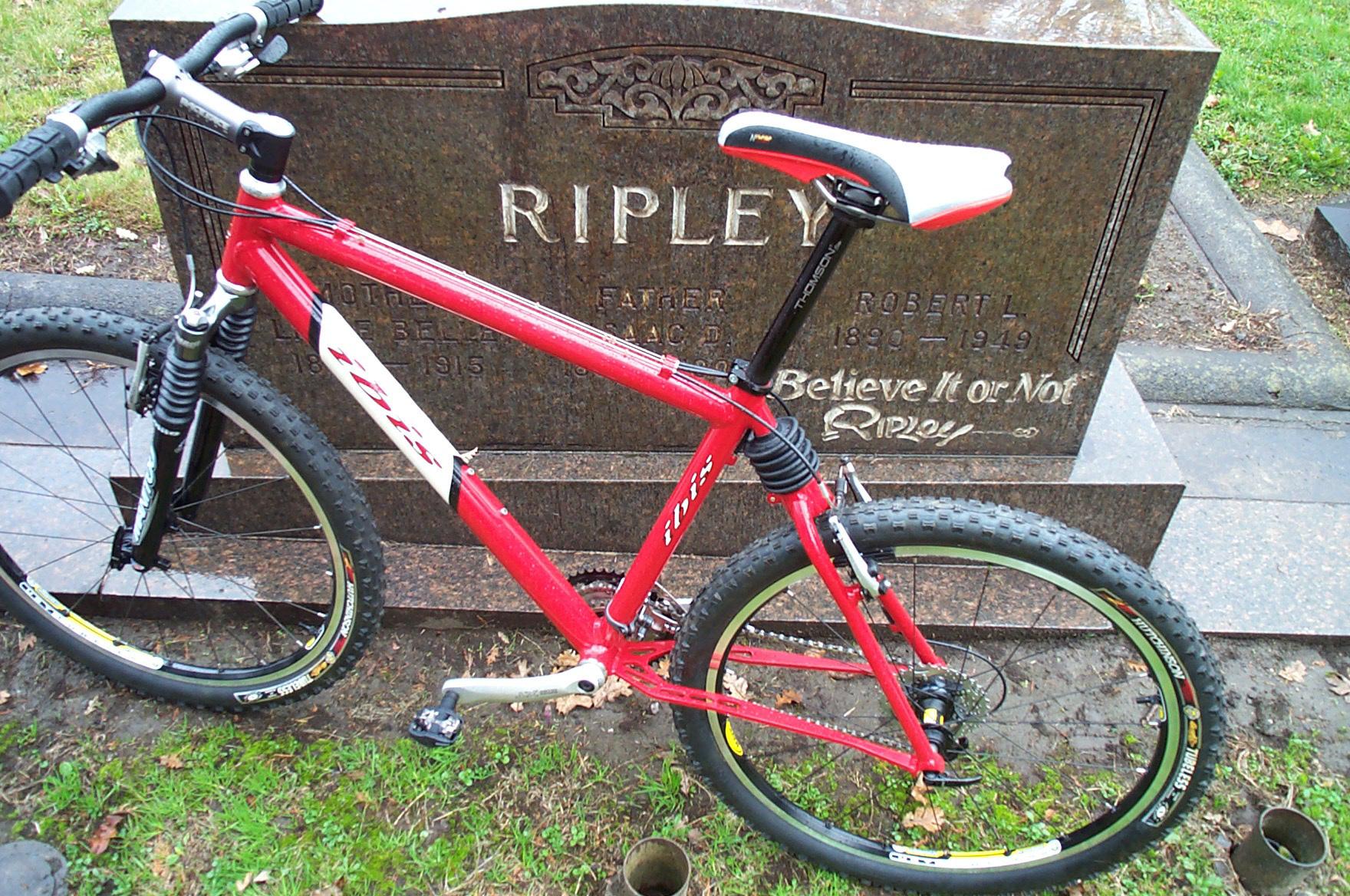 Ibis Ripley  Red