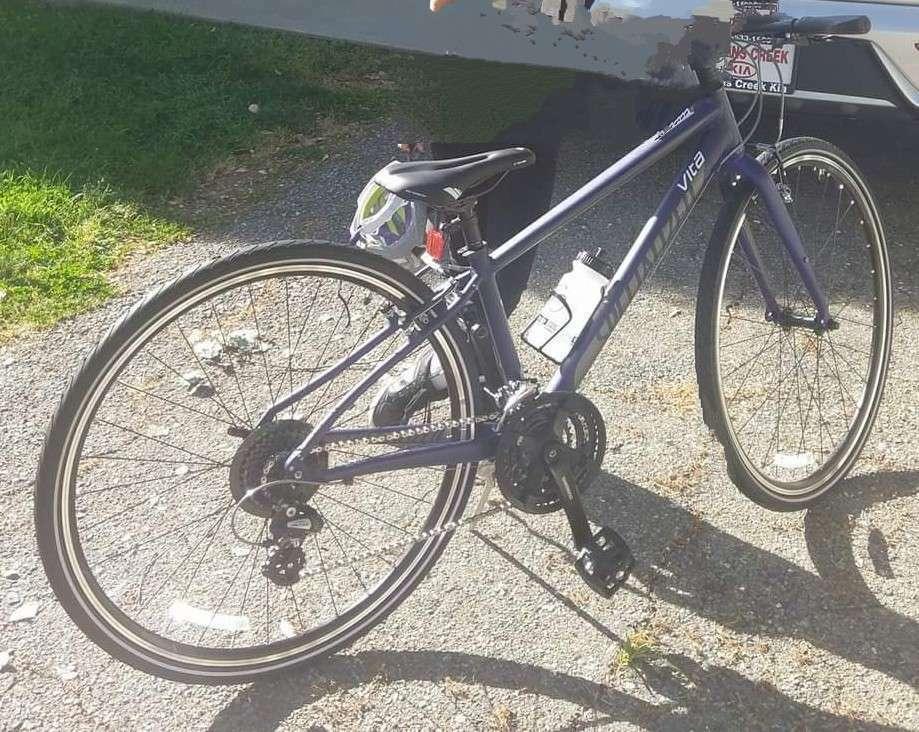 2017 Specialized Vita Purple