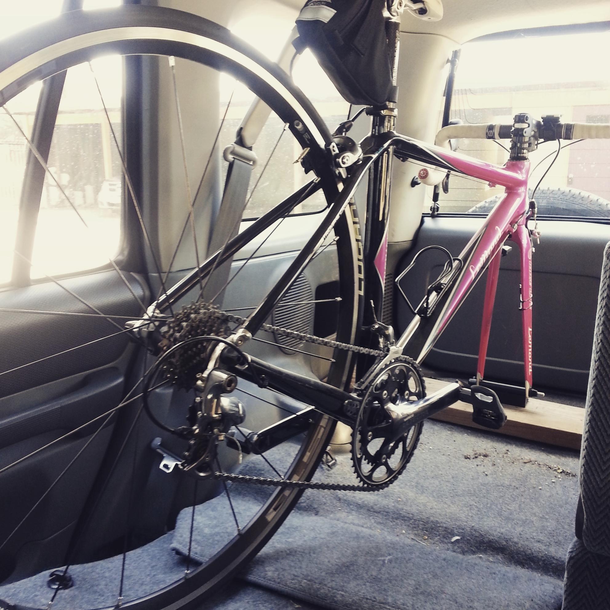 2008 LeMond Racing Cycles Zurich Pink