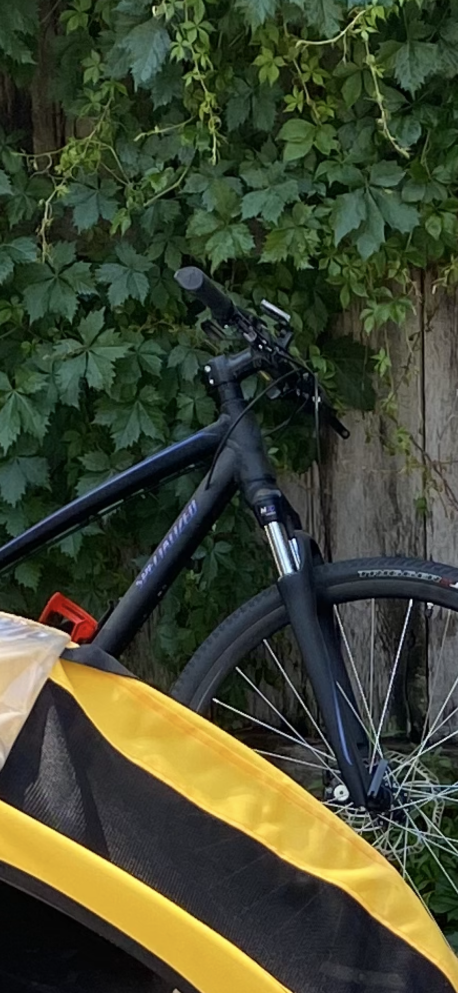 Specialized Ariel Black