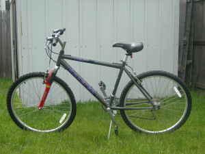 2001 Raleigh M30  Black