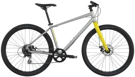 2016 Raleigh Redux-1 Silver or Gray and Yellow or Gold