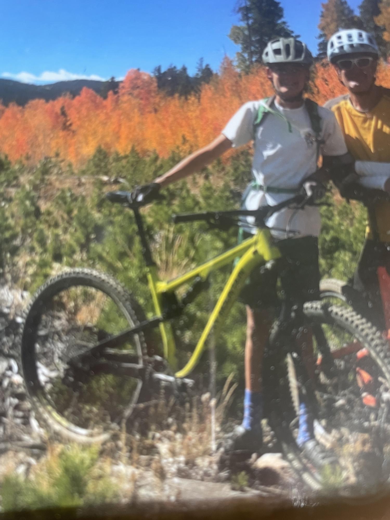 Santa Cruz Mountain bike Green