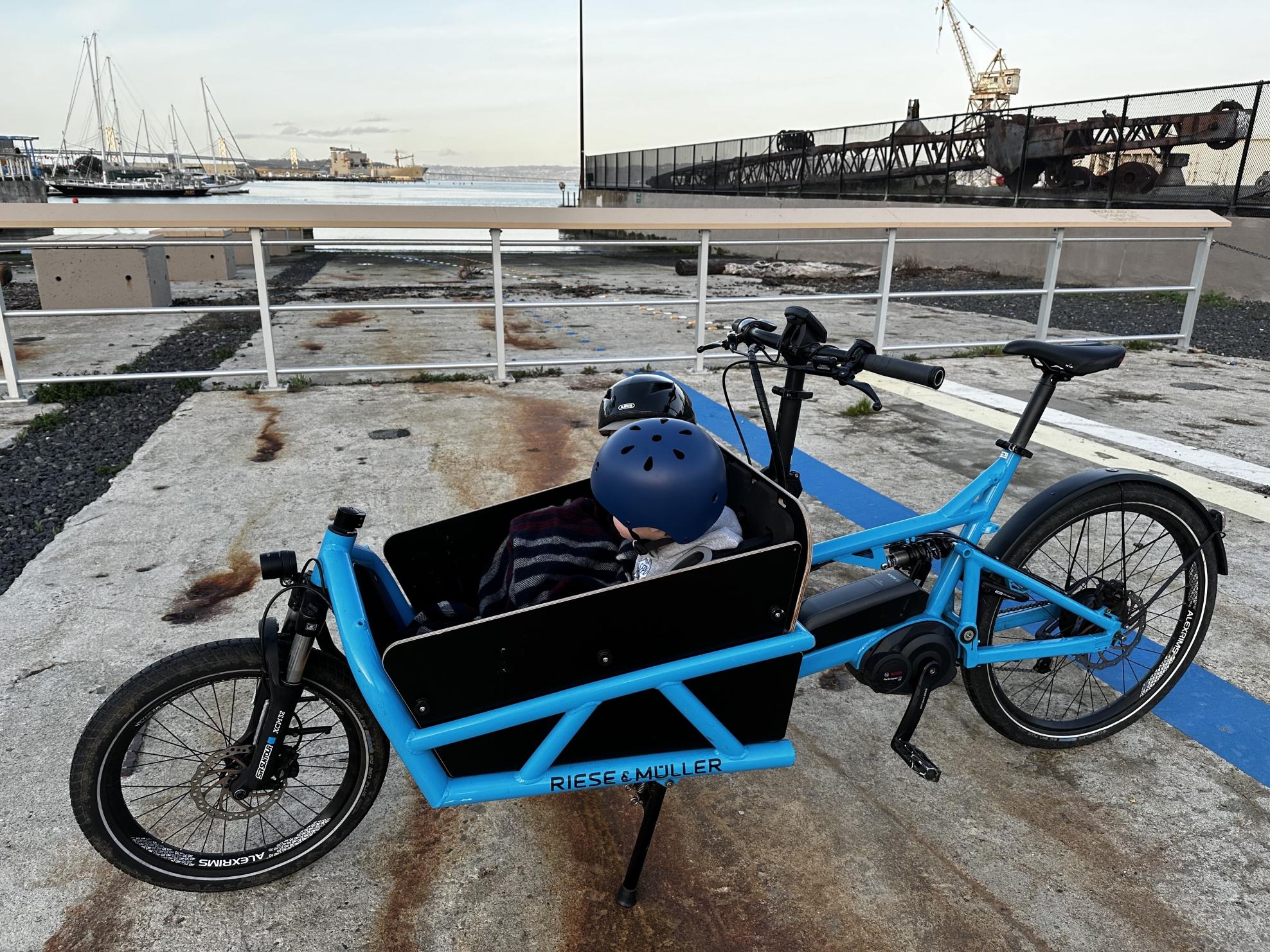 2018 Riese & Müller D cargo bike (front storage) Blue