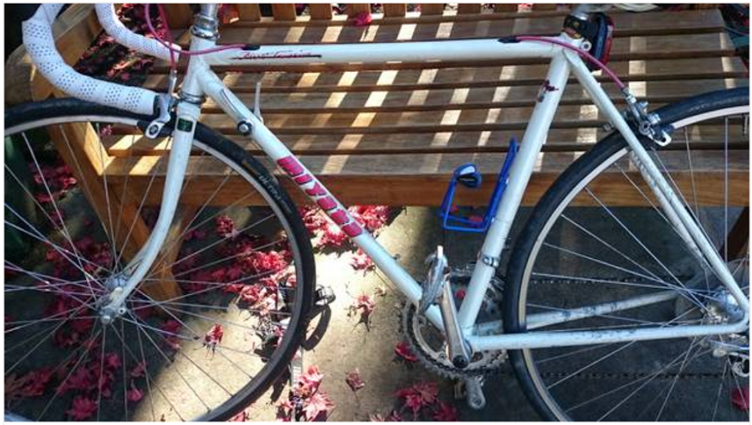 2015 Miyata steel White