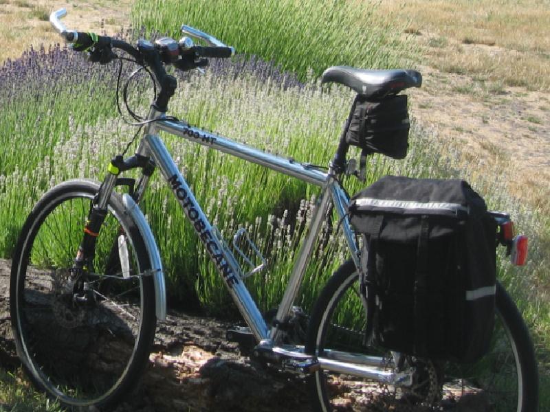 2006 Motobecane 700 HT  Black