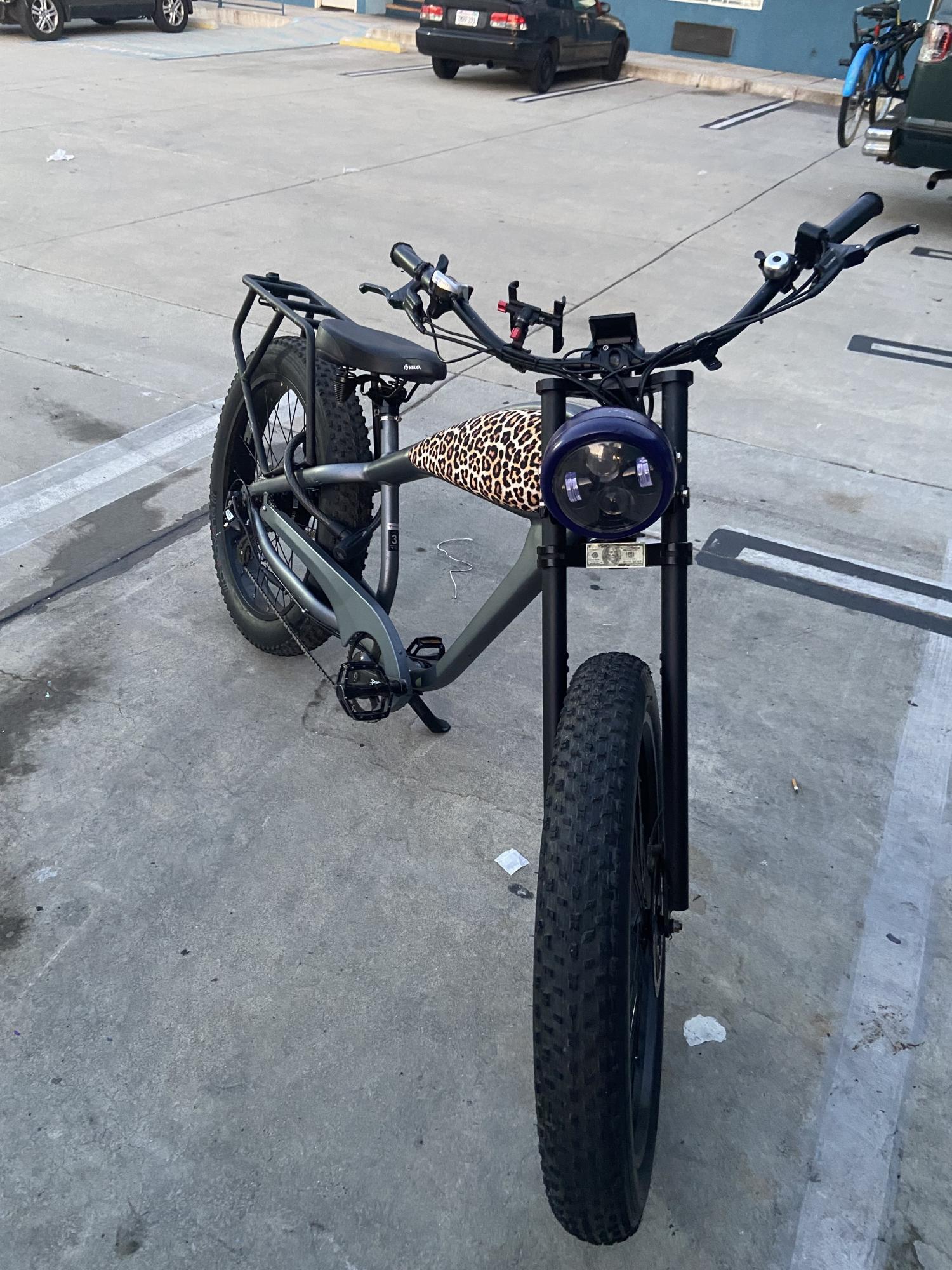 Revi Cheetah Blue and Black