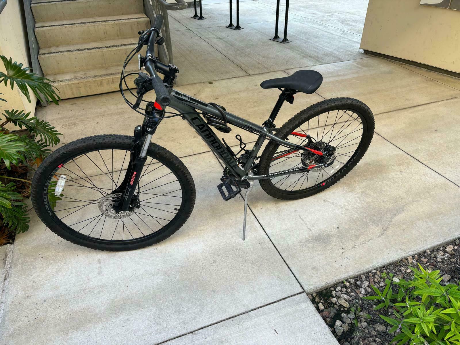 Cannondale Silver, gray or bare metal and Red