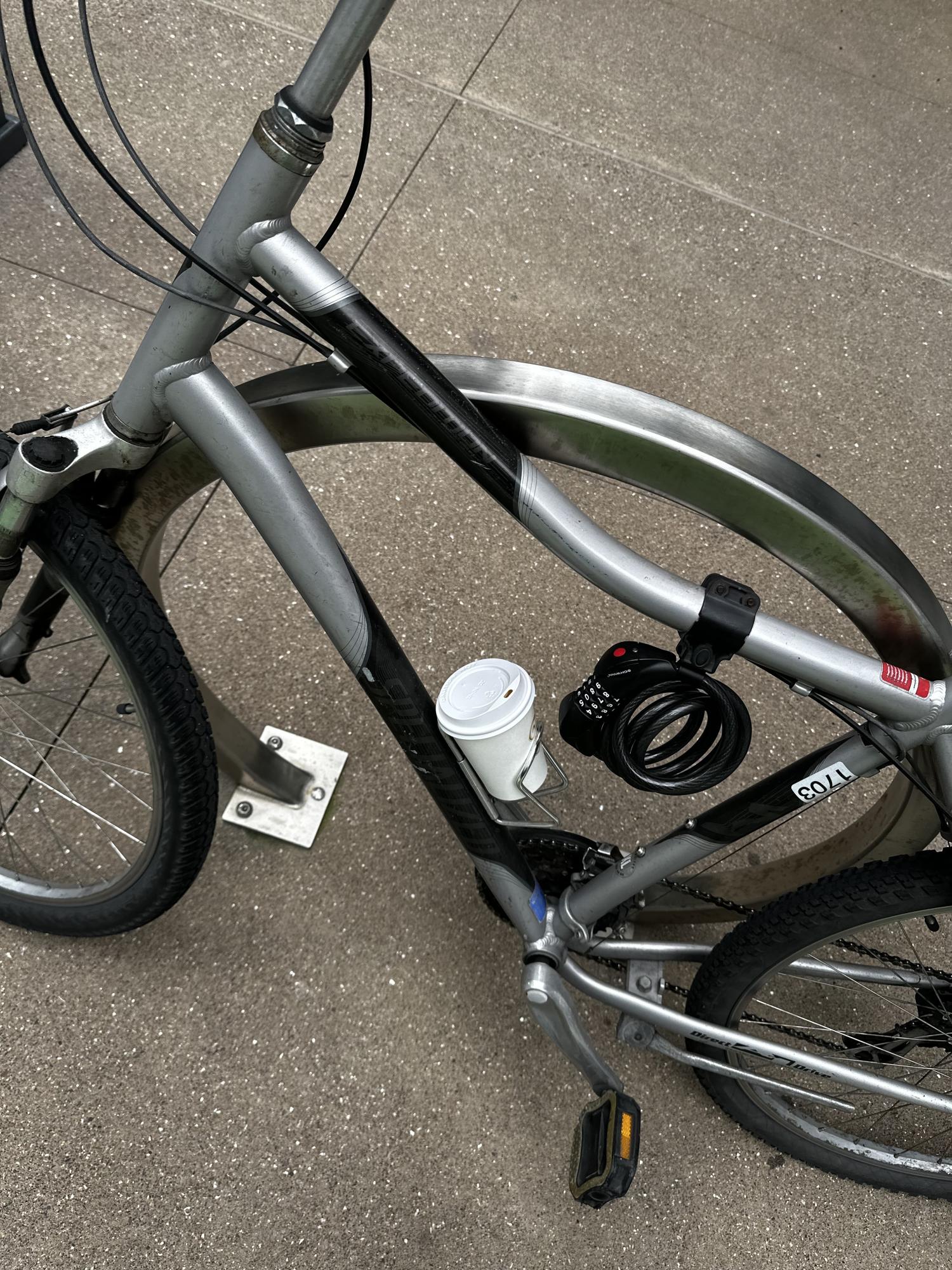 Specialized Expedition Silver, gray or bare metal