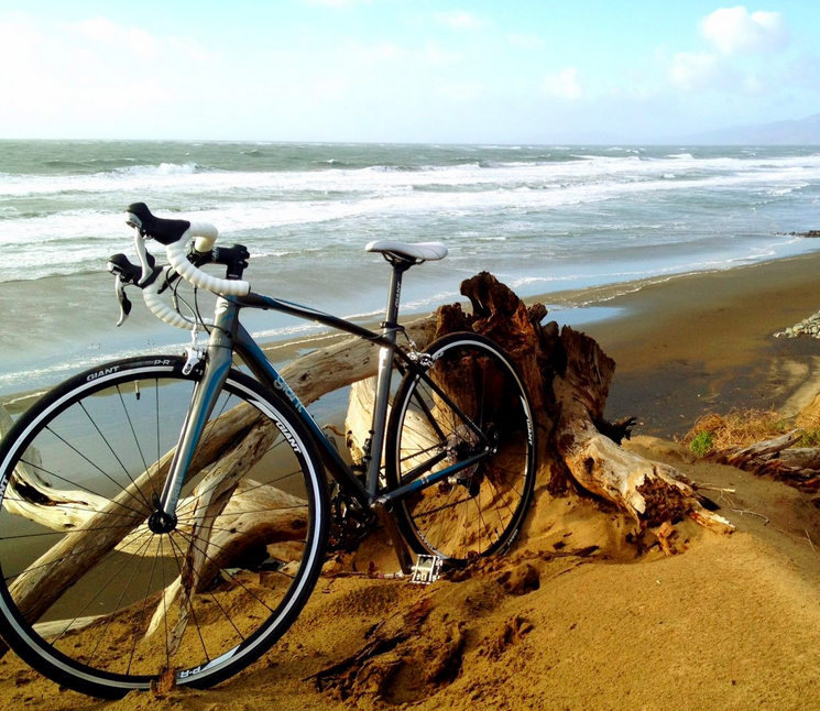 2012 Giant Avail 1  Silver or Gray