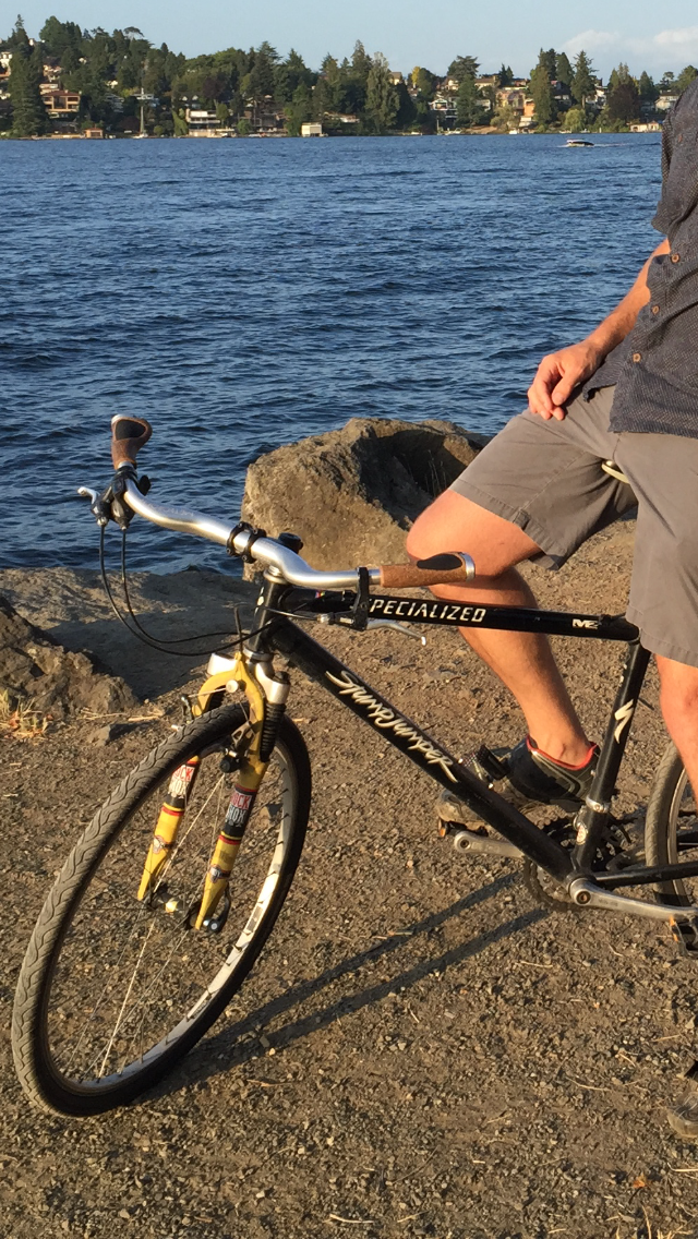 1995 Specialized Stumpjumper Black