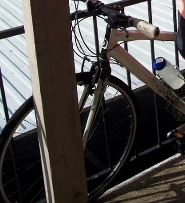 2009 Diamondback Clarity 1  White