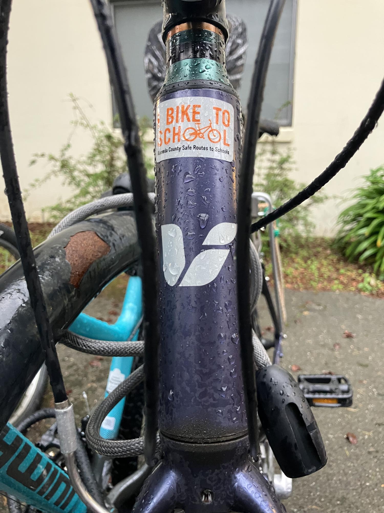 2016 Giant Alight Purple