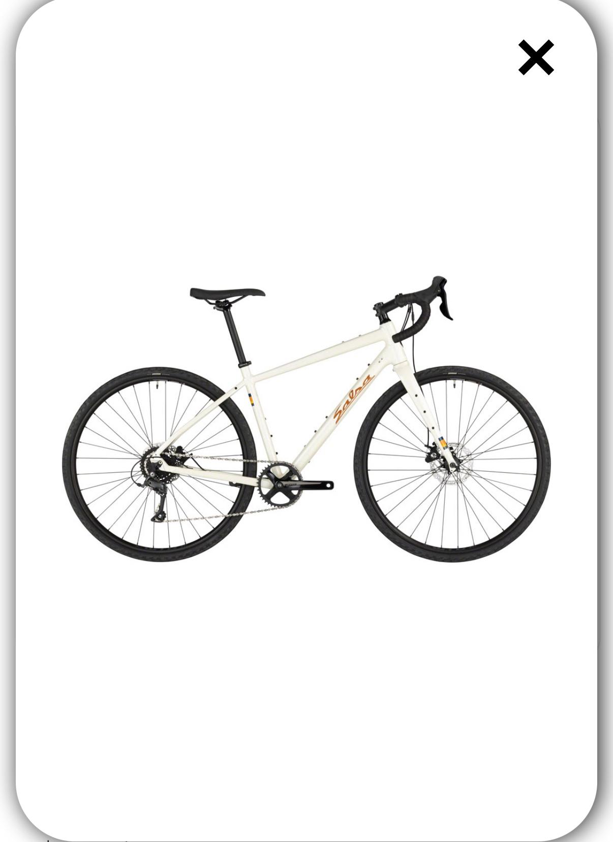 2022 Salsa Salsa White