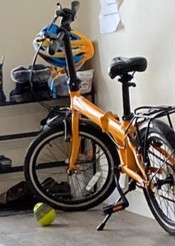 2019 Durban Bay Pro Yellow or Gold