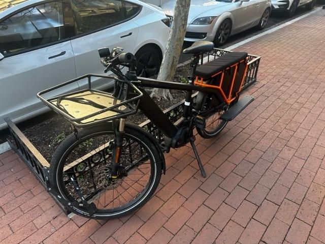 2019 Reise Muller Multicharger E-Bike Black