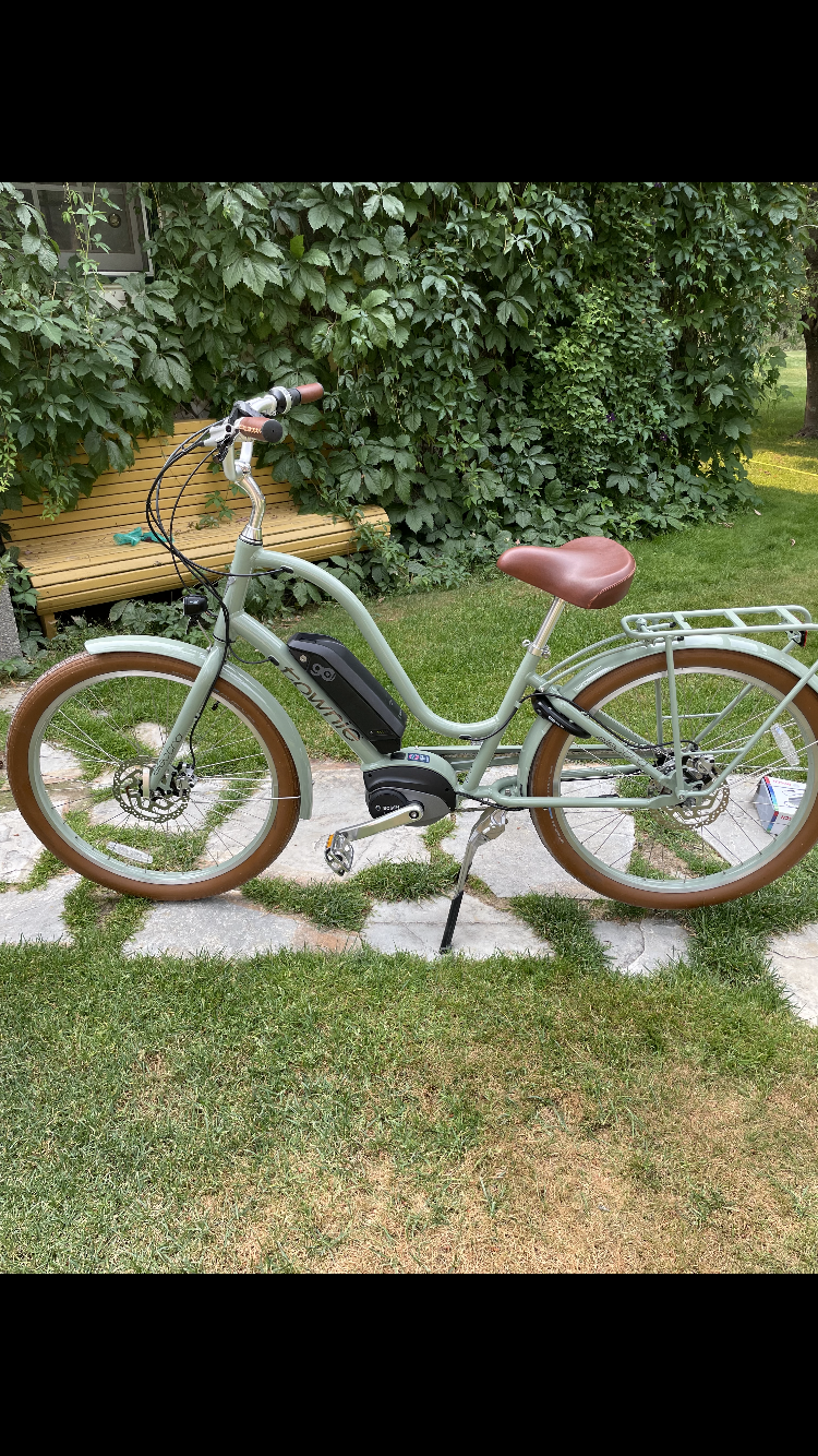 2020 Electra Go! Green