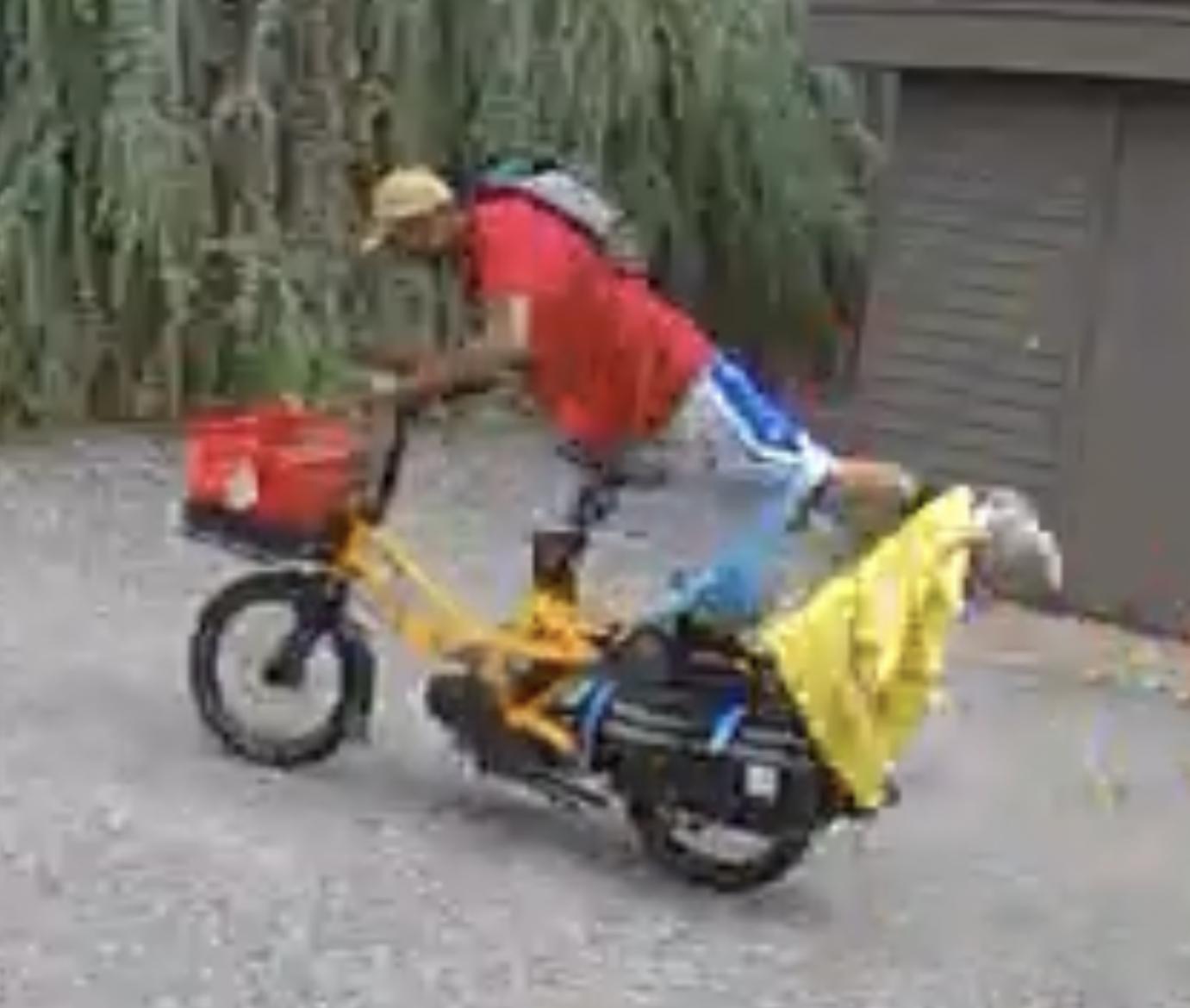 2019 Tern GSD S00 cargo bike (rear storage) Yellow or Gold