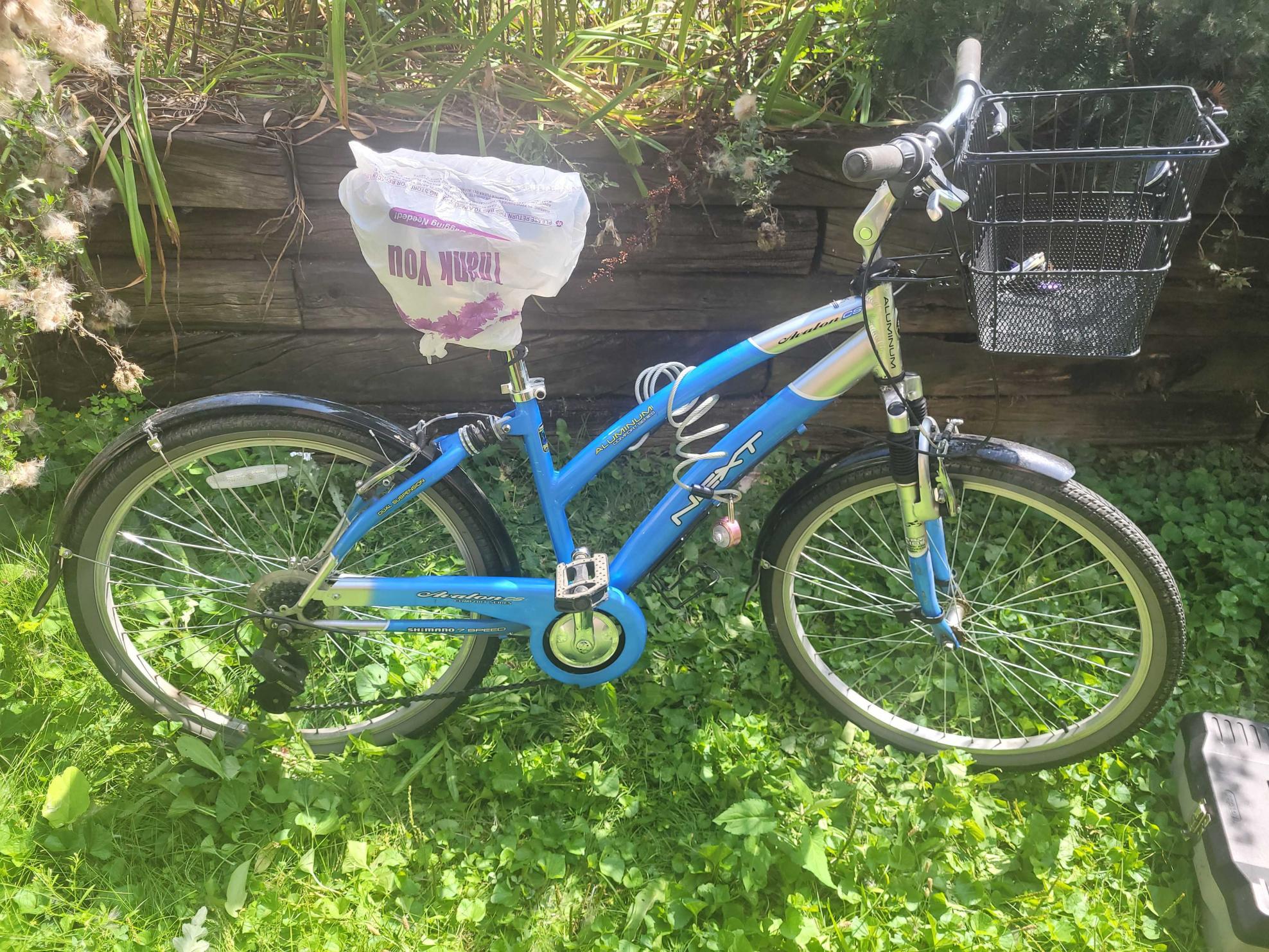 Avalon Next Blue and Silver, gray or bare metal