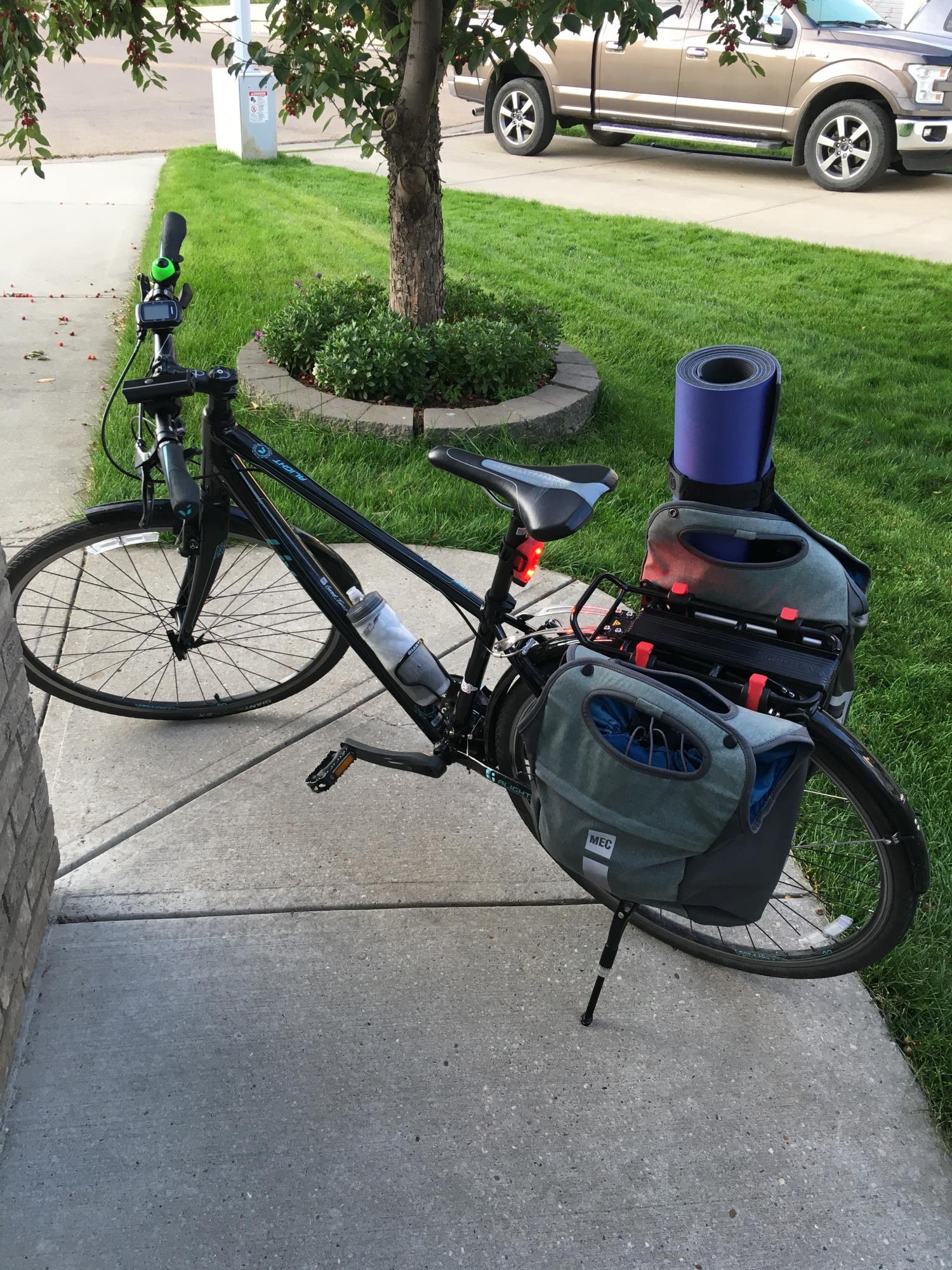 2016 Liv Alight 1 Black