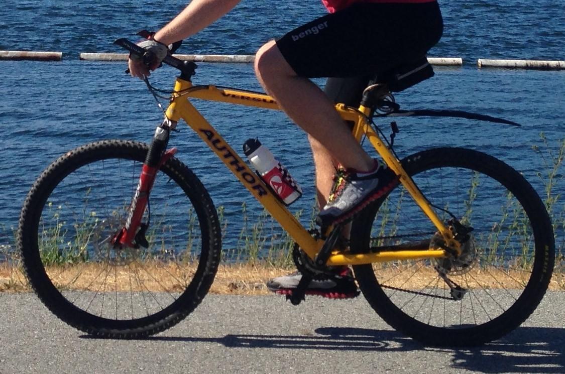 Author Mountain bike  Yellow or Gold