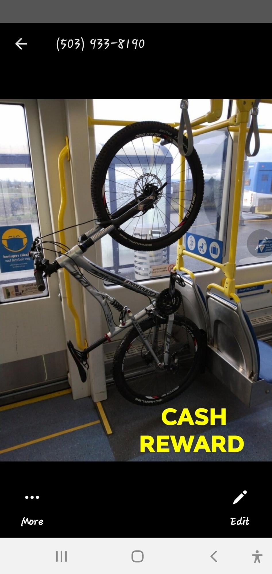 2021 Cannondale 120 Silver, gray or bare metal